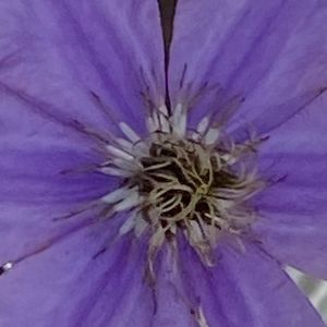 Meet your Posher, Hazel